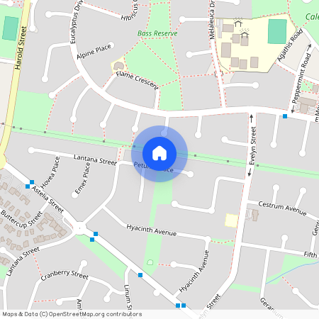 11 Petunia Place, Macquarie Fields, NSW 2564