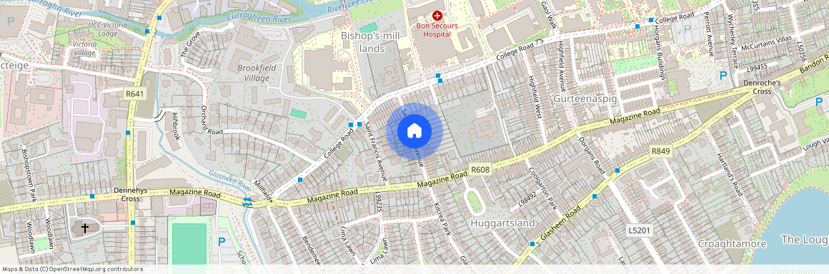 Saint Clare's Avenue, Glasheen, Co. Cork