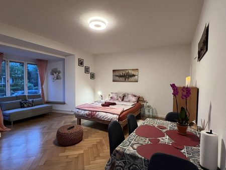 1.5 room furnished professional apartment – 4 min from Basel SBB train station; A few minutes from the Dorenbach Zoo - Foto 5