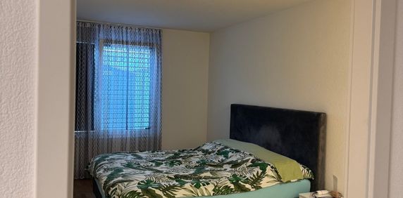 À remettre : spacieux appartement de 2,5 pièces avec terrasse - Photo 2