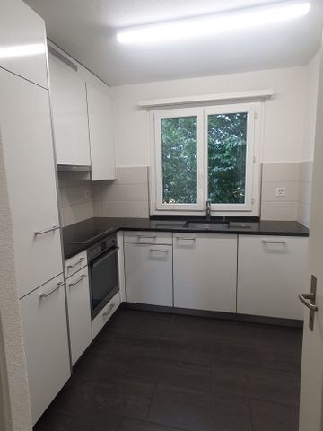 3 Zimmer, 56 m², 2. Stock - Photo 2