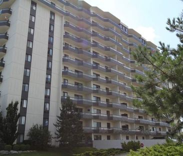 Marina Park Place - Photo 4