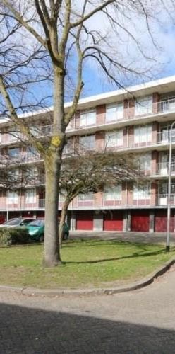 Predikherenlaan, 5042 Tilburg, Nederland - Photo 1