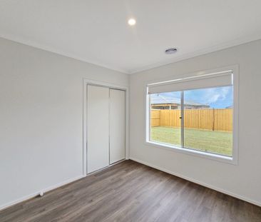 Brand New! - Photo 4