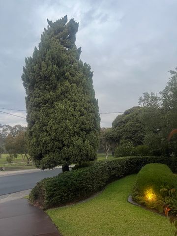 Coburg North - Photo 4