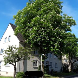 Am Urnenfeld 11, 44534 Lünen - Photo 2