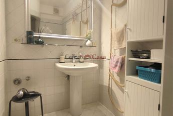 Grazioso tricolare in contesto di corte.