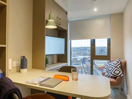 Studio Flat, Moore Street, S3 - Photo 2