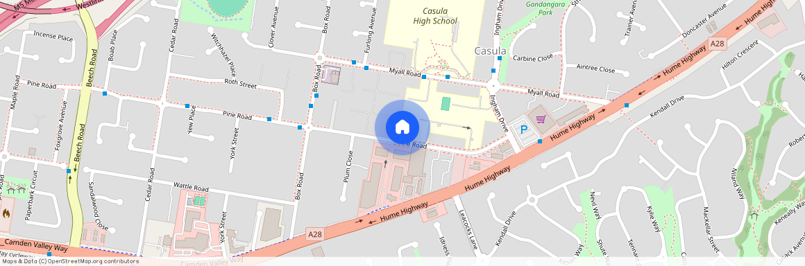 33A Pine Road, Casula