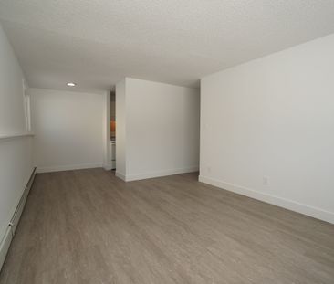 1 Bedroom - Photo 5