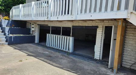 PAPATOETOE - LARGER THAN IMAGINED - Photo 2