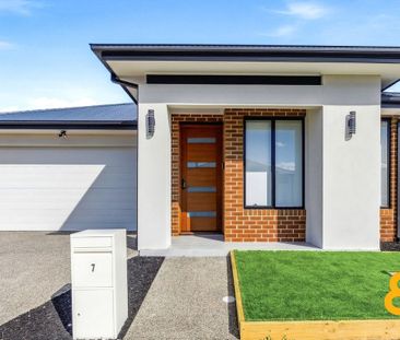 Modern Living in Donnybrook - Photo 4