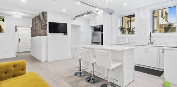 McGill Area - Superb 4 1/2 Furnished - Photo 2