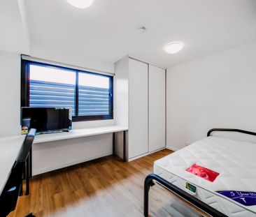 Standard Studio - Photo 3