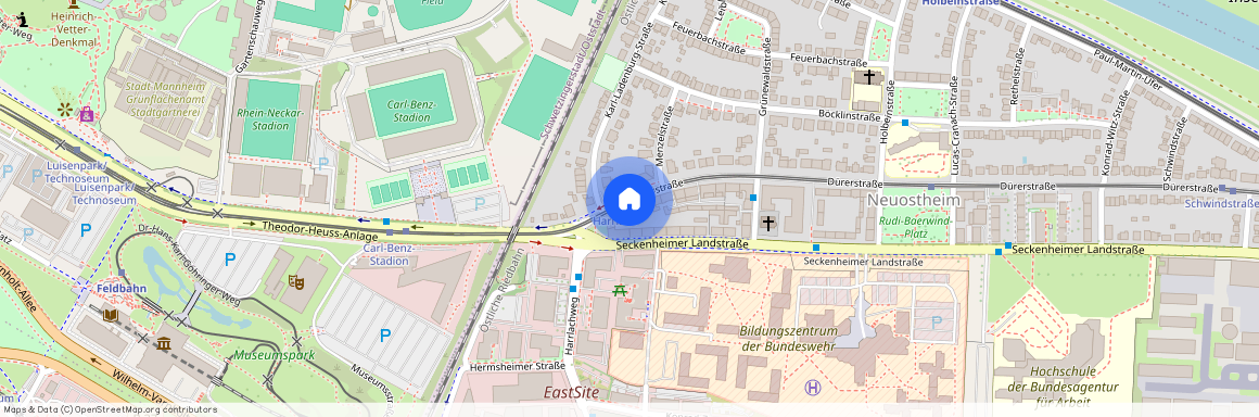 Dürerstr. 4, 68163 Mannheim