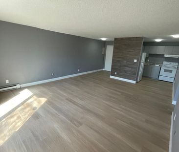 For Lease - 55 Mcalpine Avenue Unit# 105, Welland, Ontario - Photo 3