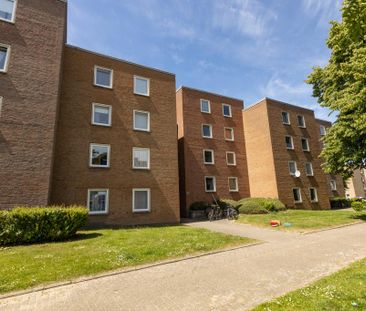 Vollständig renovierte 3-Zimmer-Wohnung in Oldenburg-Nadorst! - Foto 1