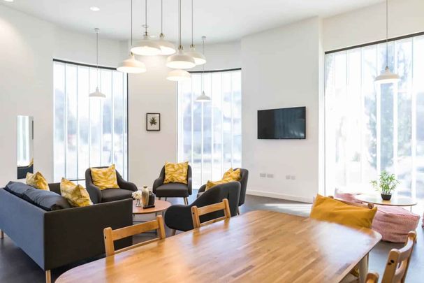 Gold Studio Accessible - Photo 1