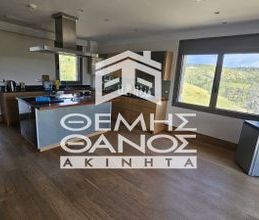 Μονοκατοικία για ενοικίαση - Καπανδρίτι, - Photo 3