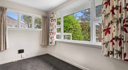 Family Home in Spreydon - Photo 4