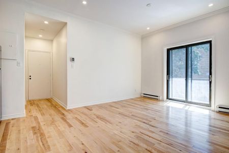 4052 Av. du Parc-La Fontaine, app.4, H2L 3M8, Montréal - Photo 4