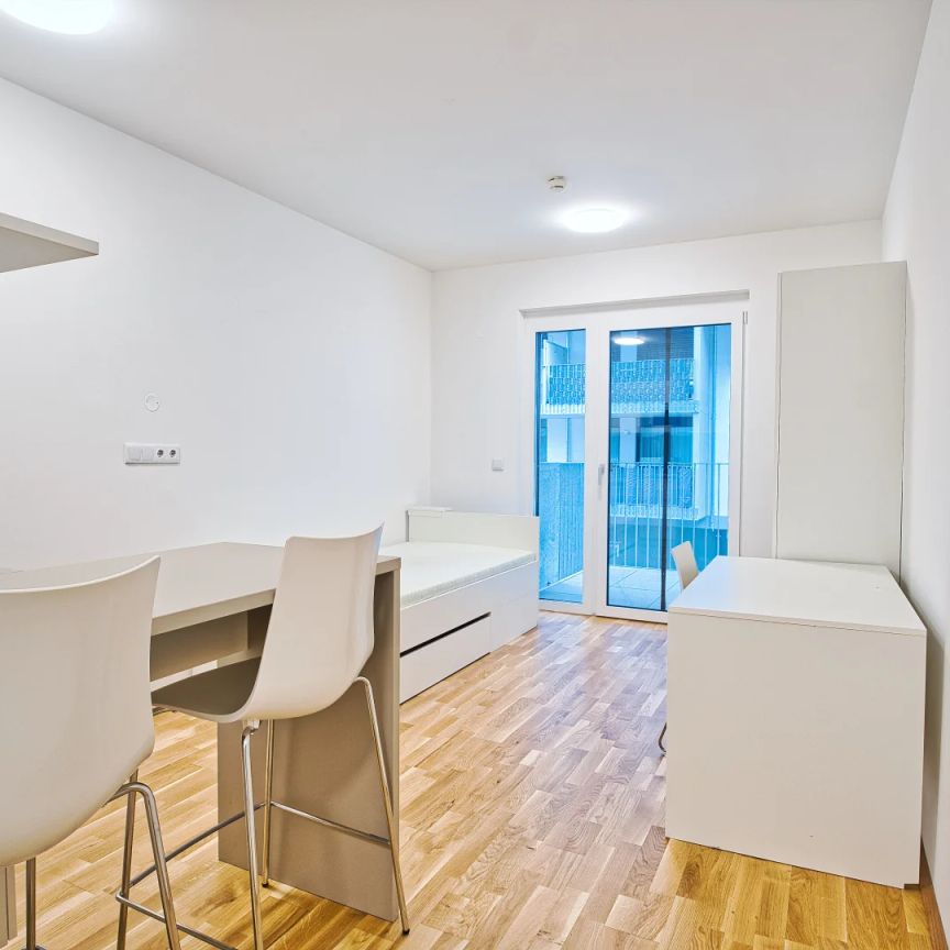 möblierte Apartments zur Kurzzeitmiete (2-12 Monate) / furnished apartments for short-term rental (2-12 months) - Photo 1