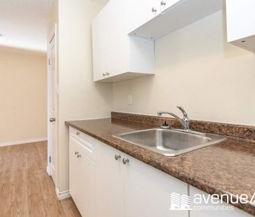 1 Bedroom - Photo 5