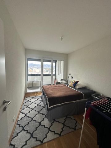 6 room apartment in Carouge - Photo 5