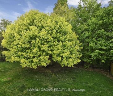 For Lease - 72 Osprey Ridge Road, Barrie, Ontario - Photo 6