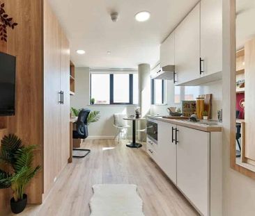 Platinum Balcony Studio - Photo 3