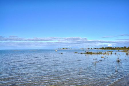 For Lease - 50 Trott Boulevard, Collingwood, Ontario - Photo 2