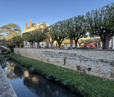 À louer – Charmant 2 pièces en centre-ville d’Arpajon avec cave - Photo 6