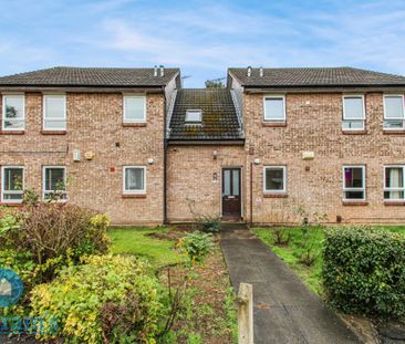 1 bed Apartment for Rent - Photo 5