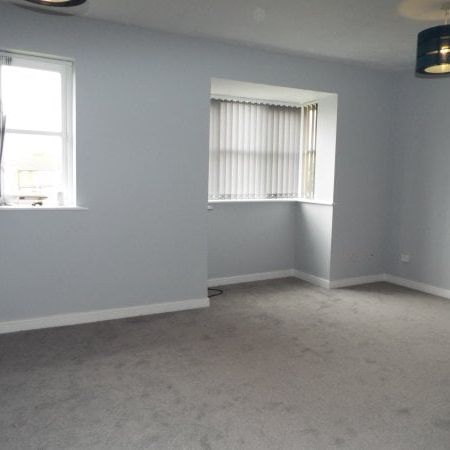 Redwood Grove - Photo 1