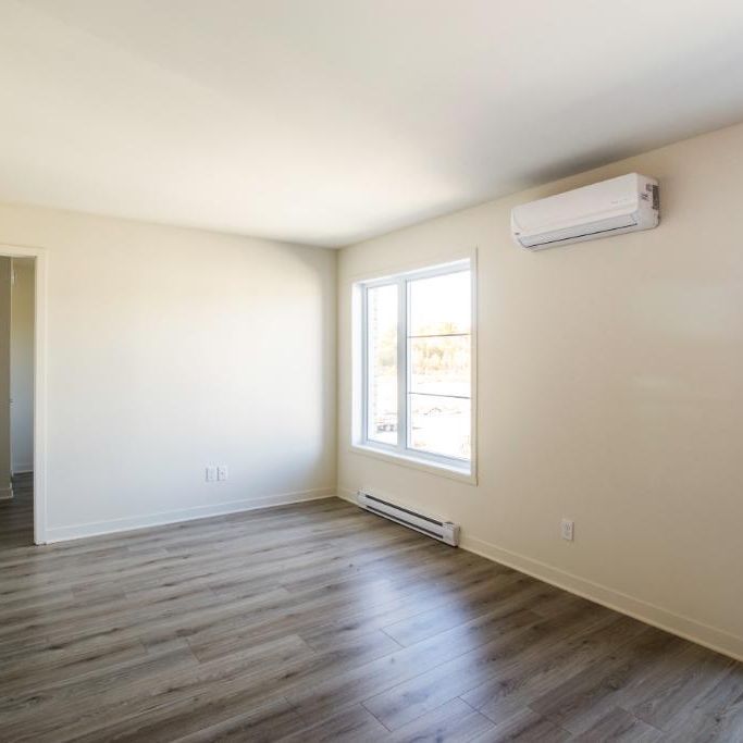 Logement 5 1/2 - Décembre 2025 - Photo 1