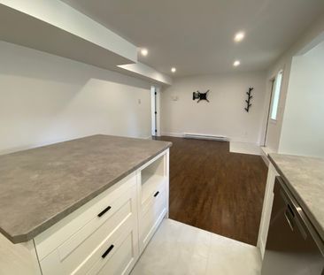 4823 Vista View Crescent – Lower - Photo 4
