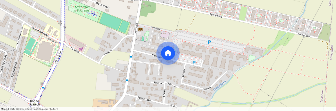 Radosna 15, Zalasewo, Swarzędz, poznański, wielkopolskie