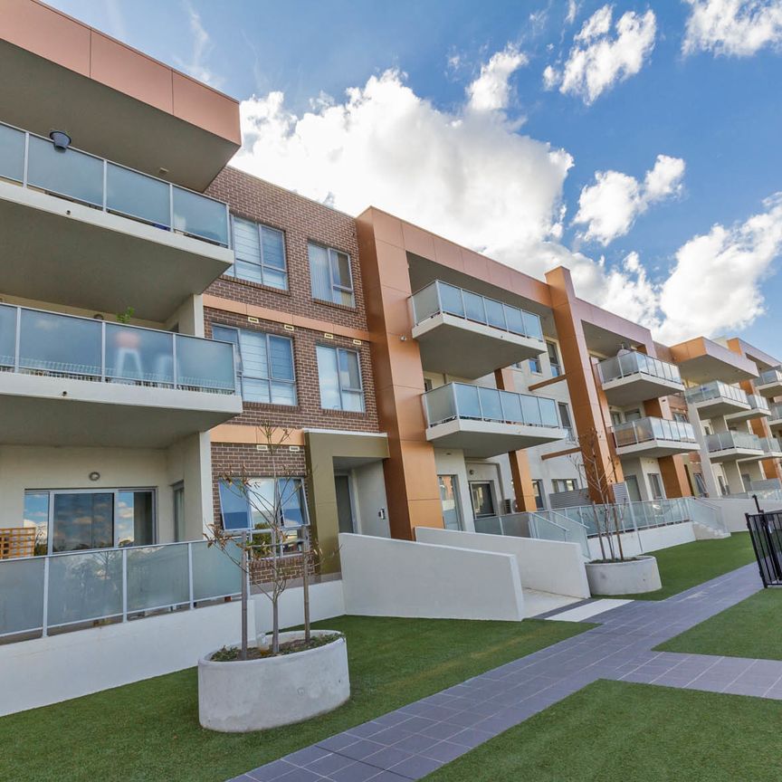 110/148 Flemington Road, Harrison ACT 2914 - Apartment For Rent | Domain - Photo 1