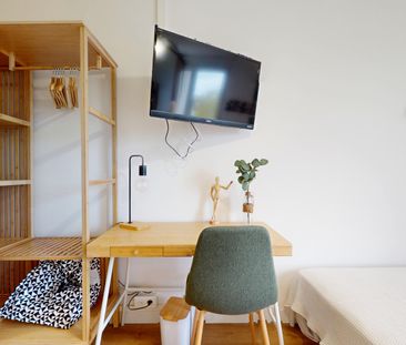 HYERES F Colocation 3 chambres à Toulouse - Photo 5