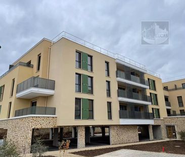 Rental Apartment - Photo 3