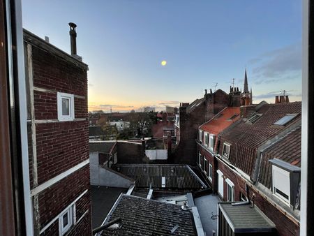 À LOUER, T2 de 40 m², Rue Pierre Legrand, Lille réf 653-003 - Photo 3