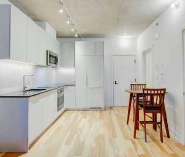 Appartement à louer, Montréal (Ville-Marie) - Photo 4