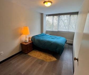 1 bed apartment near Coal harbour - Photo 2