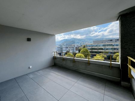 ERSTBEZUG: GROSSER BALKON, SICHT AUF DEN ÜETLIBERG - Photo 2