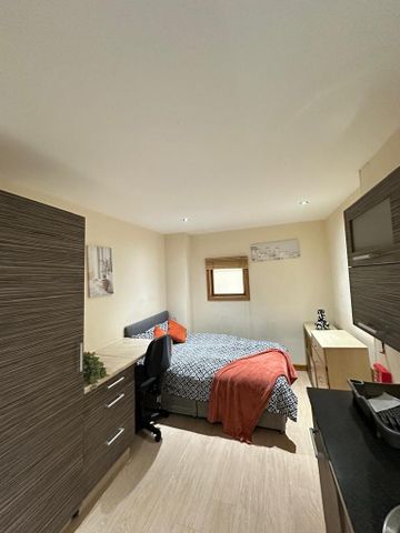 Studio to rent - Photo 3