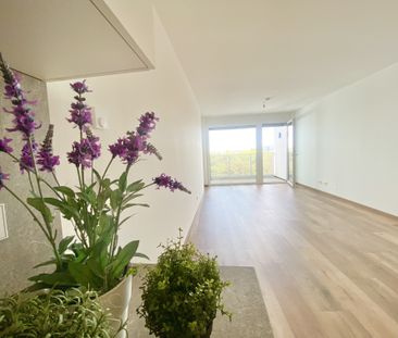 =DAS LAURENZ= ERSTBEZUG Top Loggia Wohnung U3 2 Zimmer + Loggia - 1... - Foto 3