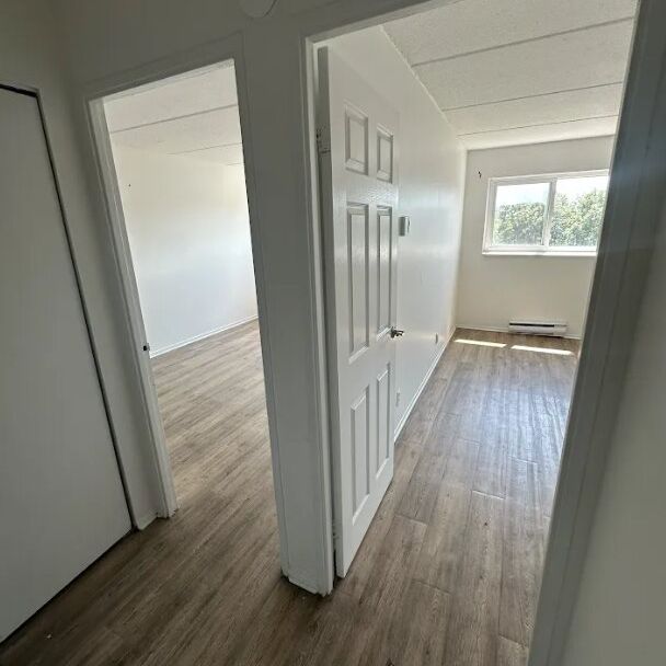 2 CH - 1 SDB - Gatineau - $1,699 /mo - Photo 1