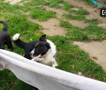 Cosy room in 5-bedroom house in Sandyford, Dublin - Photo 2