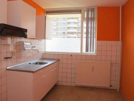 Dadeltuin 3078 KZ Rotterdam - Photo 3