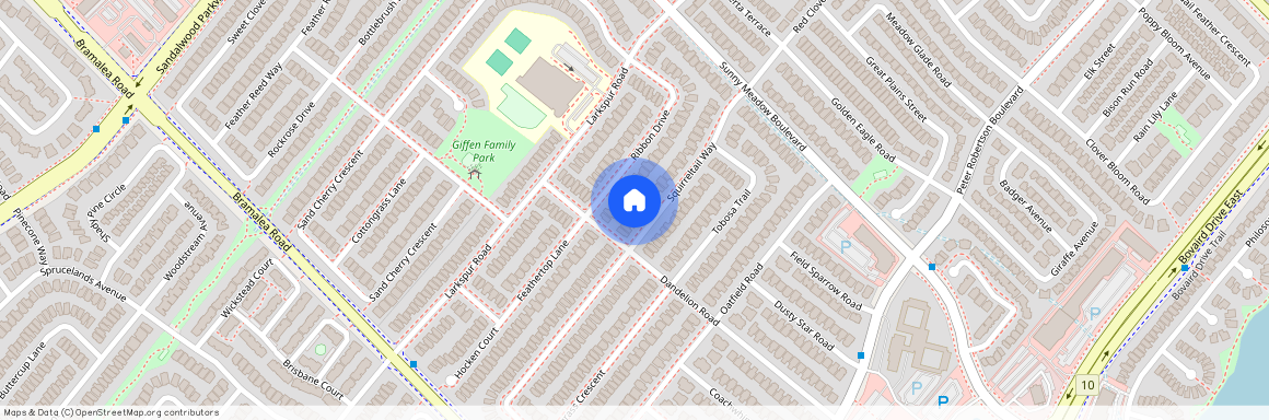 10 Squirreltail Way, Brampton